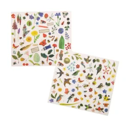 Abziehbilder - Botaniker