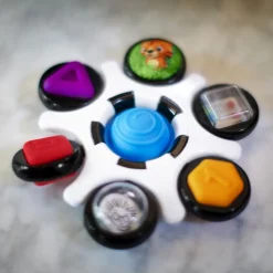 Baby Einstein - Aktivitatsspielzeug