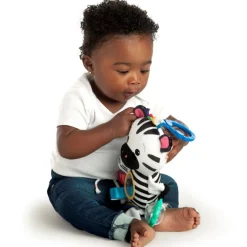 Baby Einstein - Aktivtats-Zebra