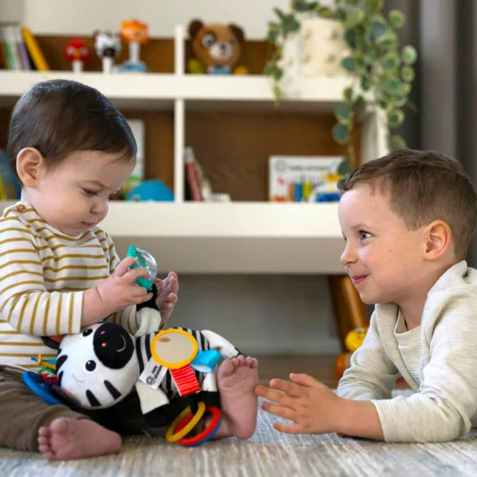 Baby Einstein - Aktivtats-Zebra