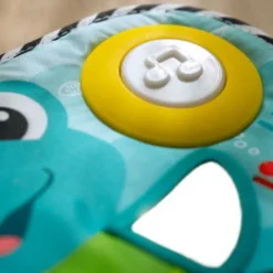 Baby Einstein - Kick & Explore Musikspielzeug