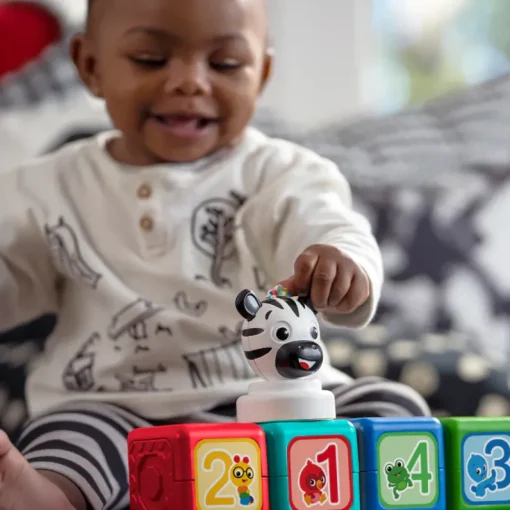 Baby Einstein - Magnetspielzeug Add & Stack