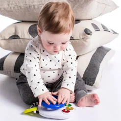 Baby Einstein Lenkrad Mit Ton