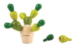 Balancierkaktus Mini