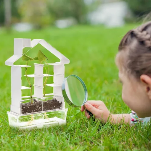 Bau Ein Pflanzenlabyrinth - Botanik-Set Für Kinder