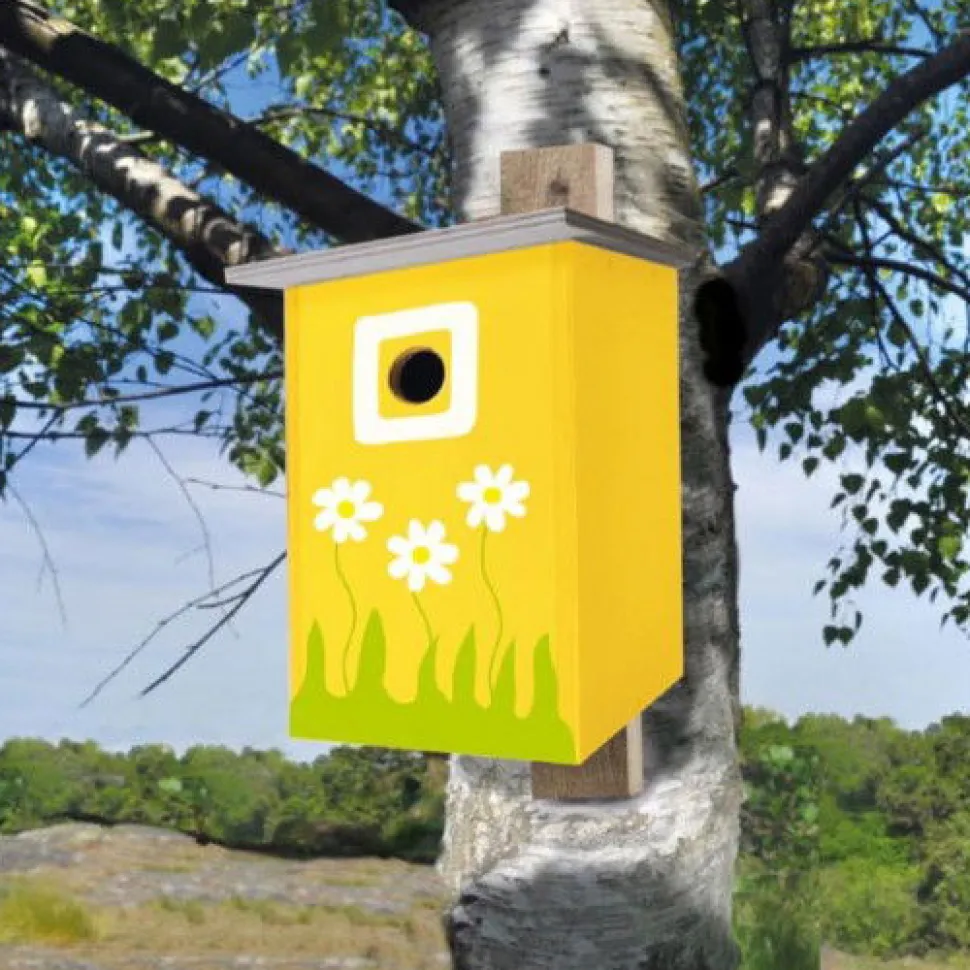 Bauen & Malen - Vogelhauschen