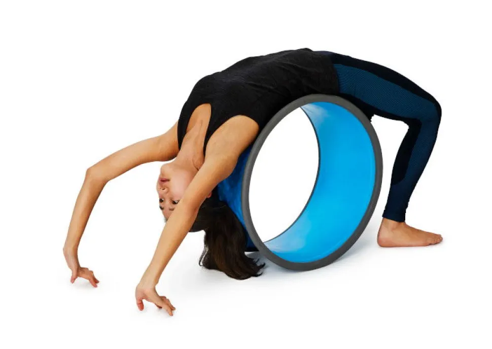 Body Wheel - Gros