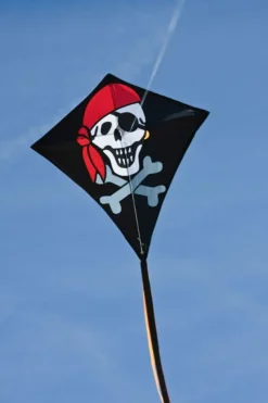 Drachen Klassisch Mit Motiv - 68 Cm