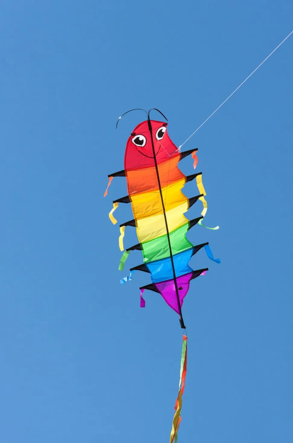 Drachen Raupe - 48 X 115 Cm