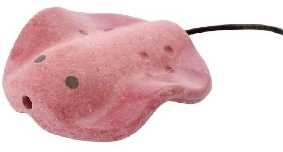 Flote - Meerestiere