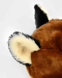 Fuchs, 2-4 Jahre