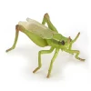 Grashupfer (L: 6,5 Cm)