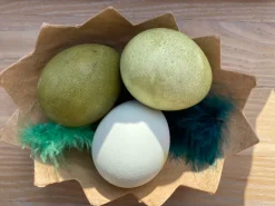 Halbe Eierschalen Aus Karton, 4 Stk