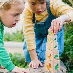 Holzklötze - Lebenszykus Der Tiere