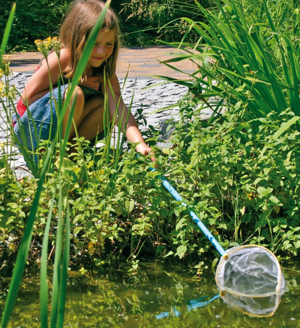 Insekten- Und Fischnetz Mit Teleskopstange