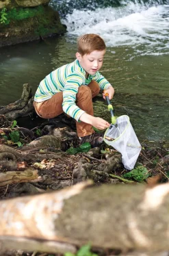 Kescher Mit Teleskopstange, Terra Kids