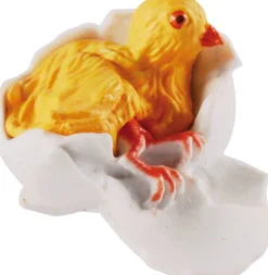 Lebenszyklus - Vom Ei Zum Huhn