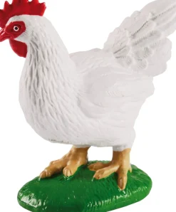 Lebenszyklus - Vom Ei Zum Huhn