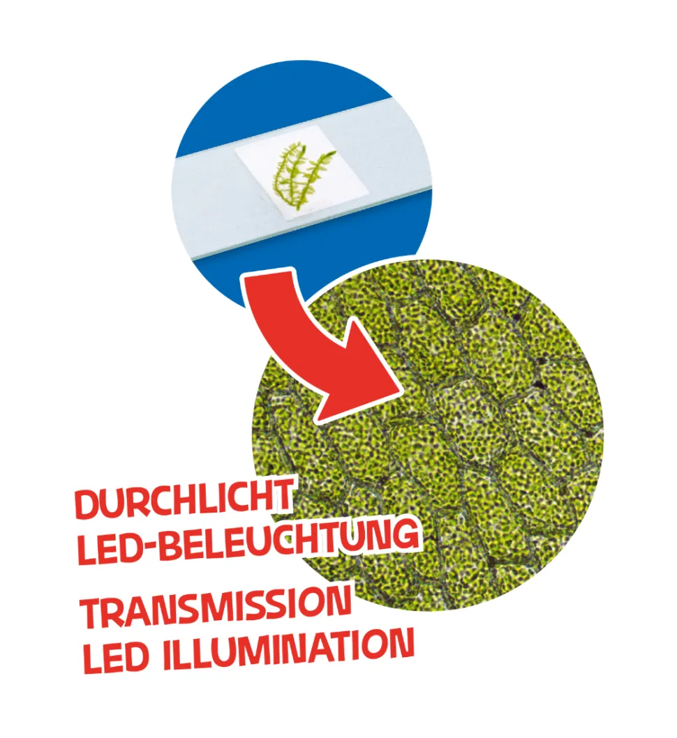 Led Kindermikroskop, 40X-640X - Inkl. Zubehör