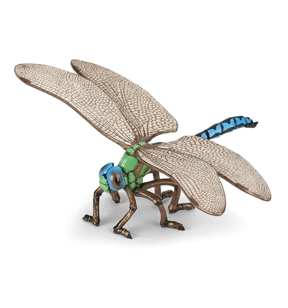 Libelle (L: 6,5 Cm)