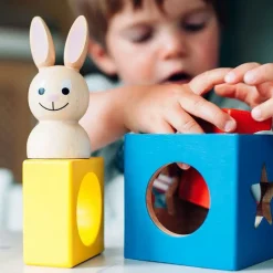 Logikspiel Für Die Kleinsten - Bunny Boo