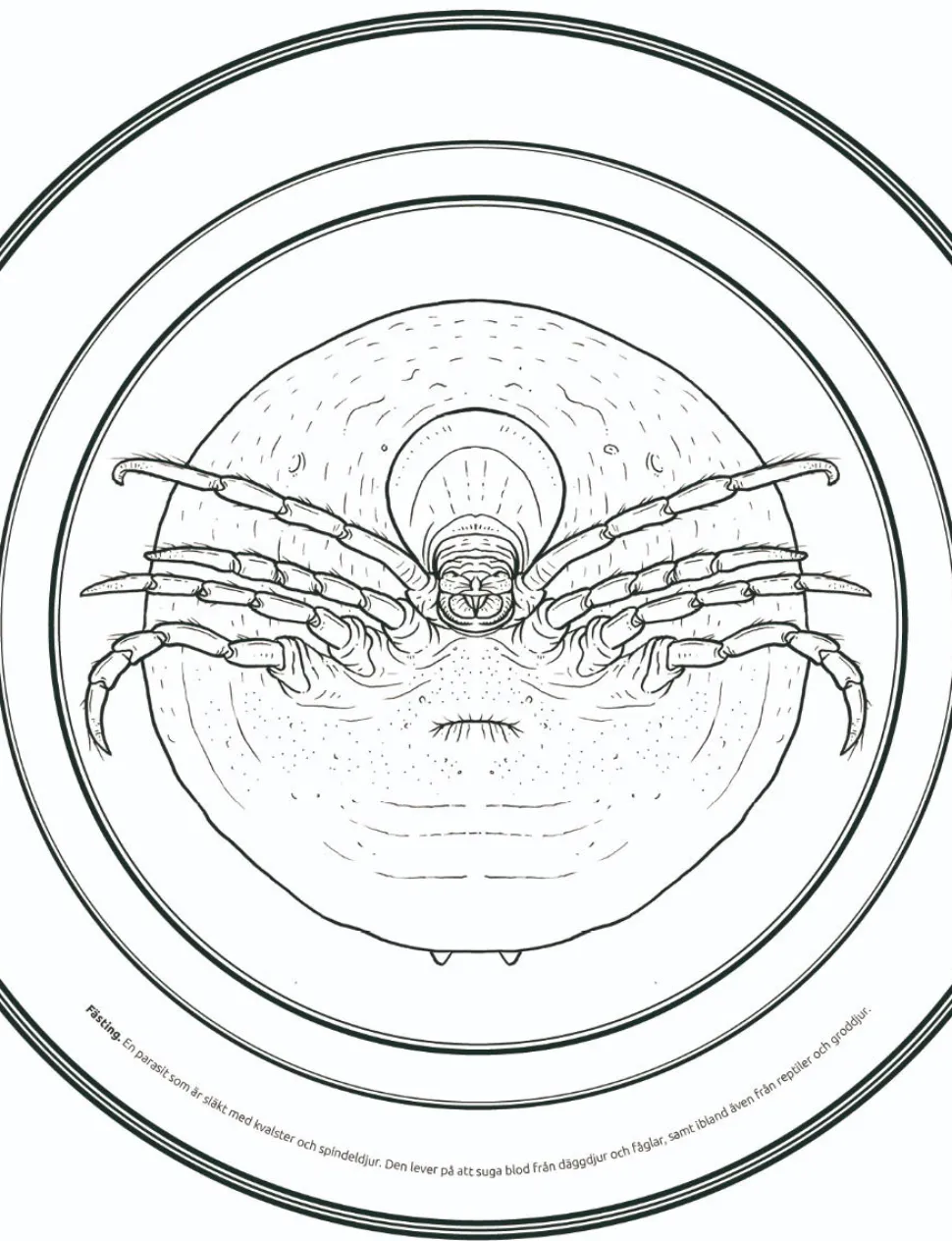 Malbuch - Mikromonster