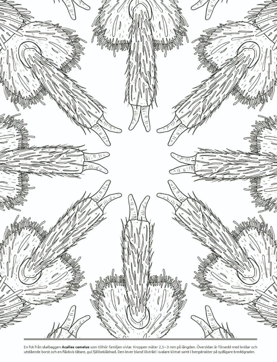 Malbuch - Mikromonster