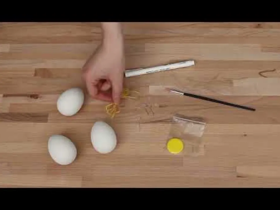 Male Ostereier Mit Wasserfarbe, 3 Stk.