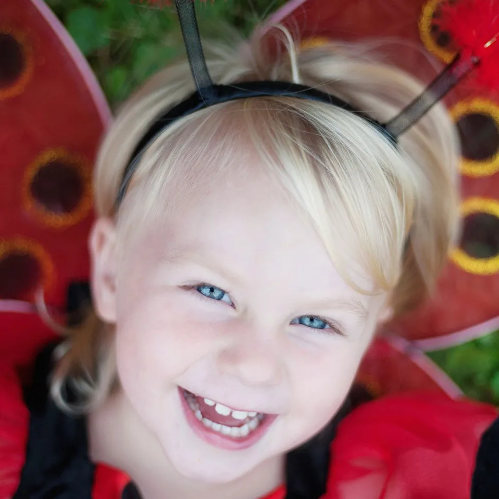 Marienkafer, Flugel + Haarreif