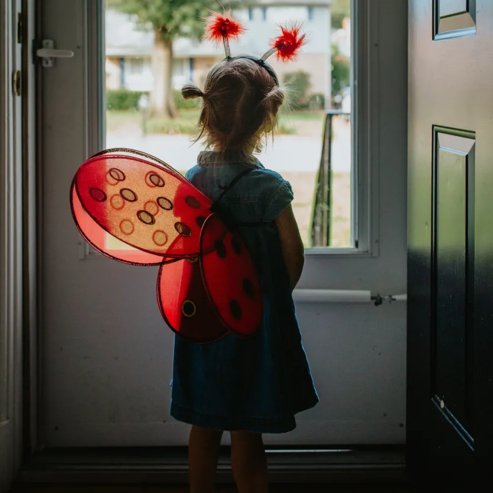 Marienkafer, Flugel + Haarreif