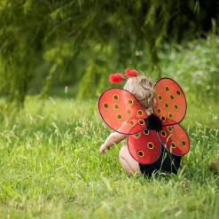 Marienkafer, Flugel + Haarreif