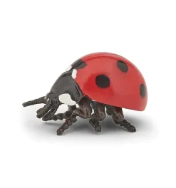 Marienkafer (L: 3,2 Cm)