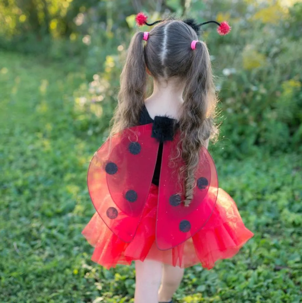 Marienkafer Rock & Flugel, 4-7 Jahre