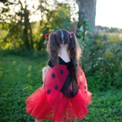 Marienkafer Rock & Flugel, 4-7 Jahre