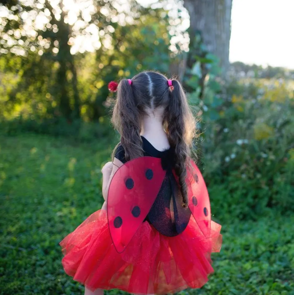 Marienkafer Rock & Flugel, 4-7 Jahre