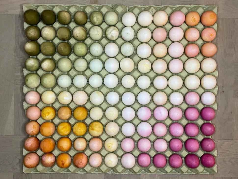 Naturfarben Für Eier - 5 Farben