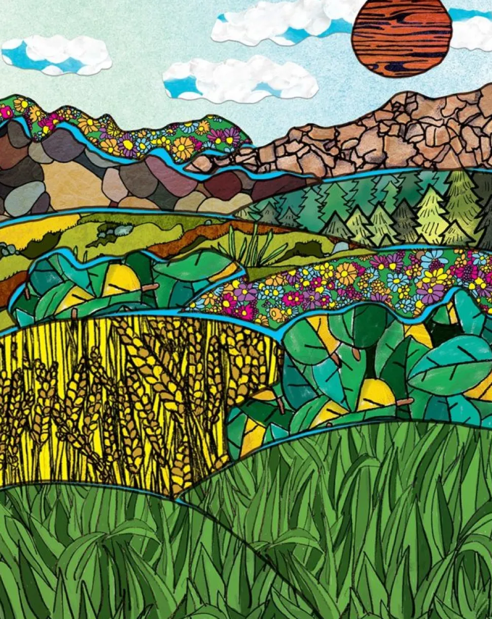 Papierbogen - Naturmotive, 144 Stk.