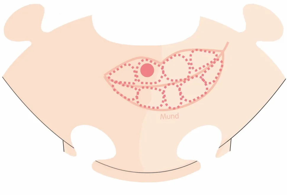 Playmais Zubehör - Anatomiepuzzle