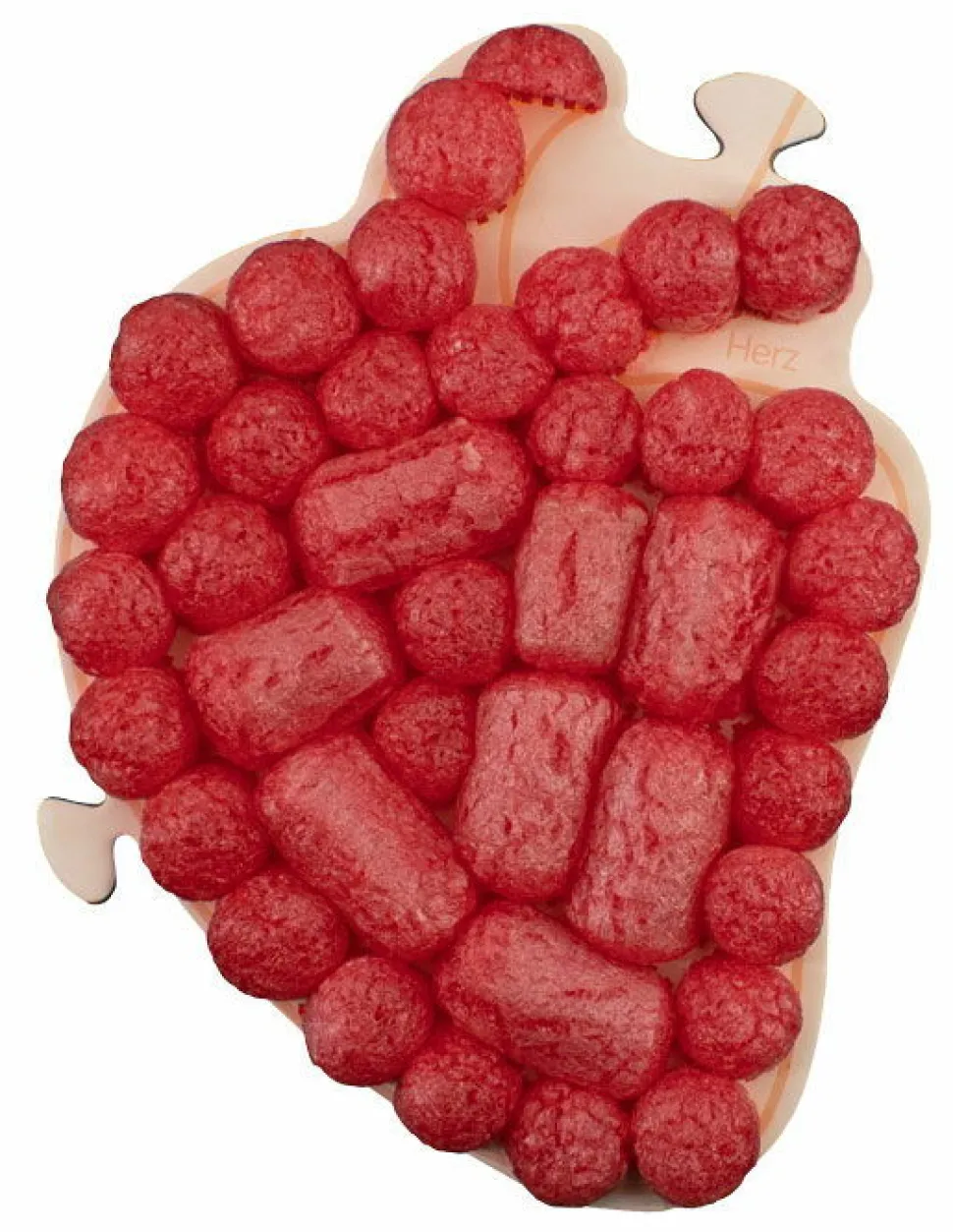 Playmais Zubehör - Anatomiepuzzle