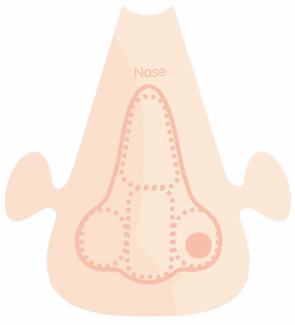 Playmais Zubehör - Anatomiepuzzle
