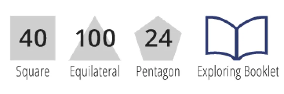 Polydron Basis Set - 164 Teile