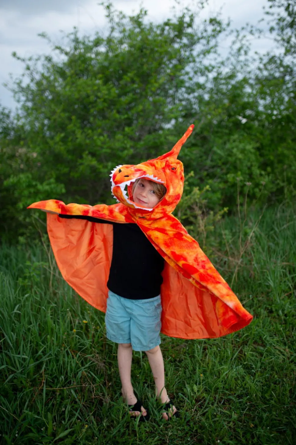 Pterodactylus (Gr. 4-6 Jahre)