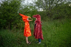 Pterodactylus (Gr. 4-6 Jahre)