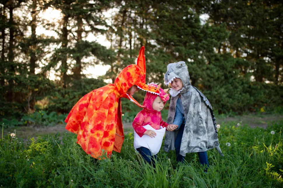 Pterodactylus (Gr. 4-6 Jahre)