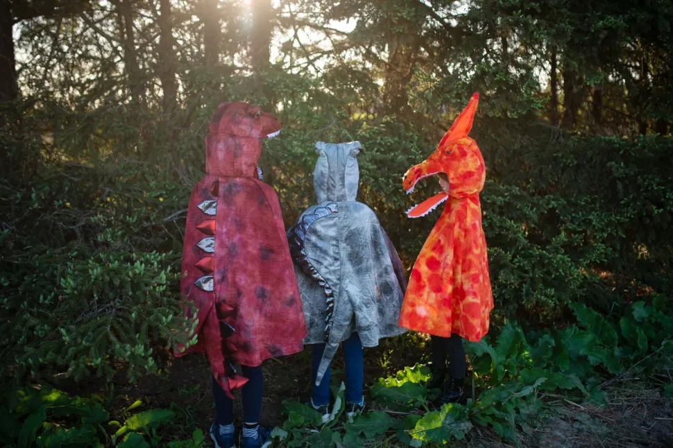 Pterodactylus (Gr. 4-6 Jahre)