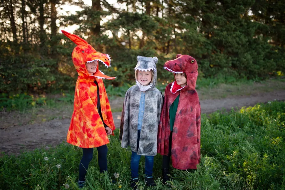 Pterodactylus (Gr. 4-6 Jahre)