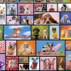 Puzzle, 1.000 Teile - Niedliche Tiere