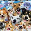 Puzzle, 500 Teile - Selfies, Hunde + Katzen