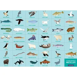 Puzzle Arktisches Leben - Such Und Find, 64 Teile