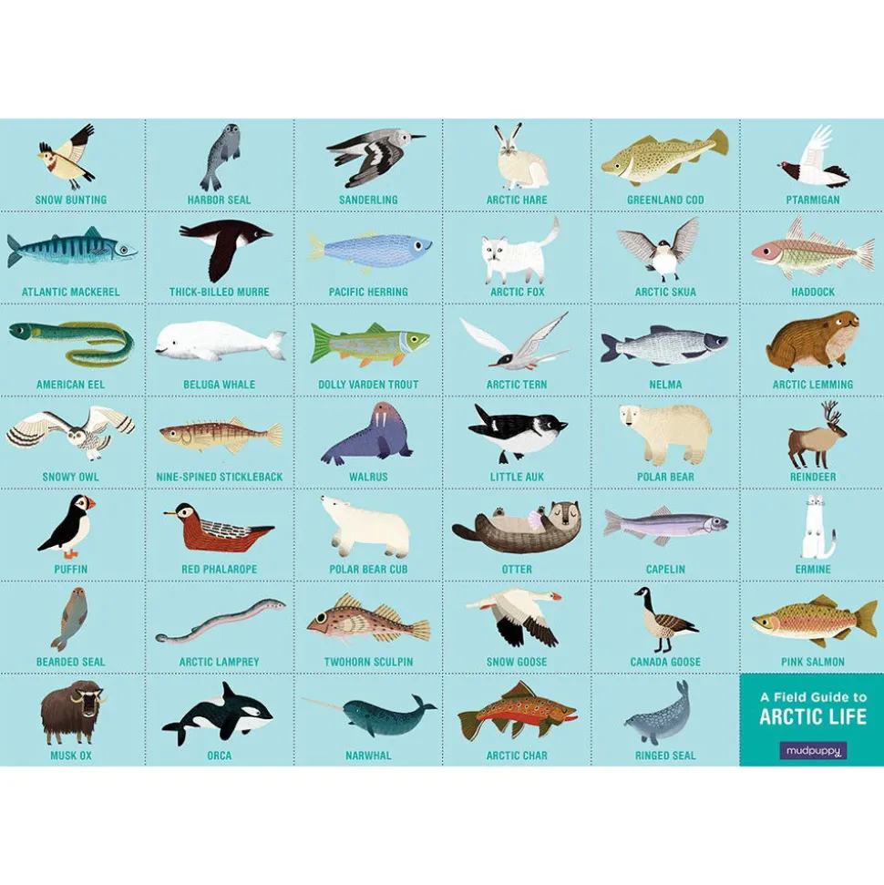 Puzzle Arktisches Leben - Such Und Find, 64 Teile